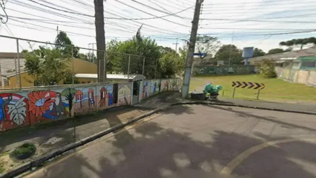 Muro de escola com grafite colorido de flores, tucano e casas, ao lado de uma rua com poste e fiação, e um gramado com sinalização de curva
